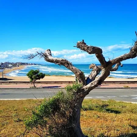 Квартира С Морской Панорамой Torrevieja Extérieur photo